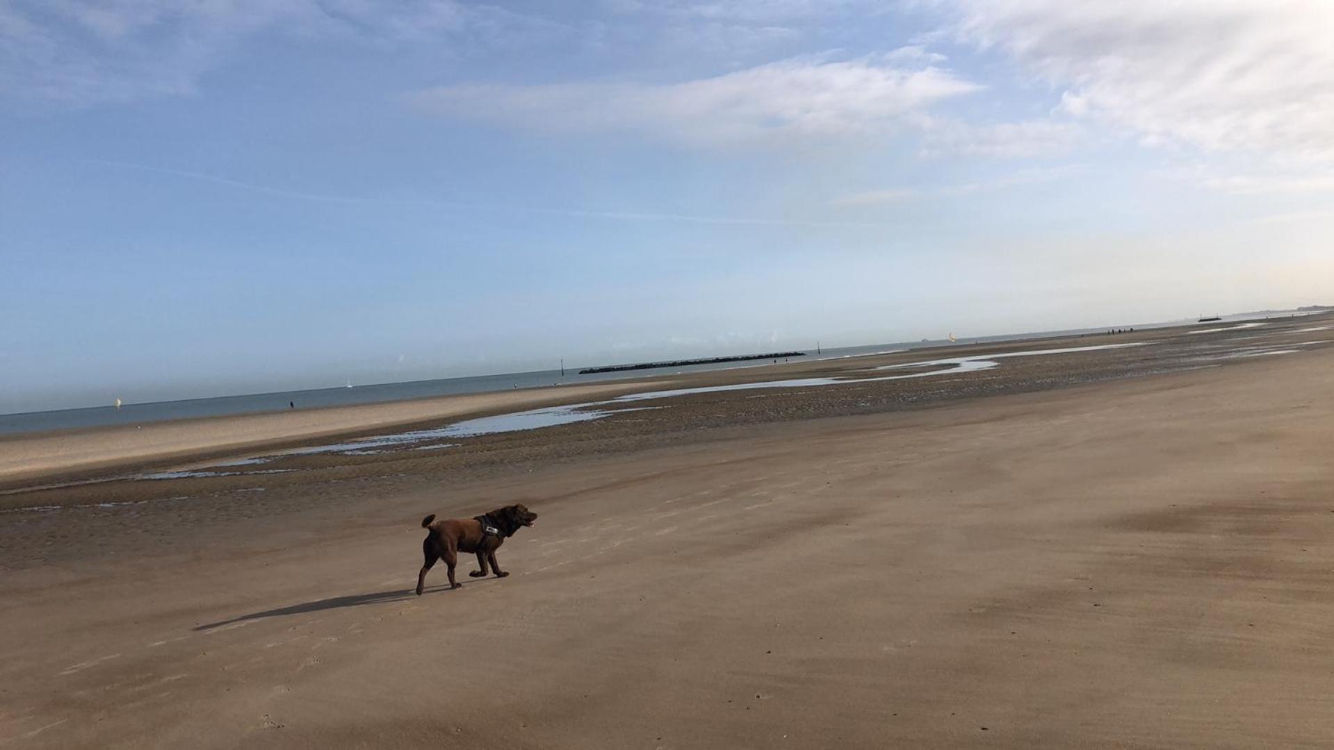 Appartement Sur La Plage De Malo Les Bains Vue Mer Dunkirk Eksteriør billede