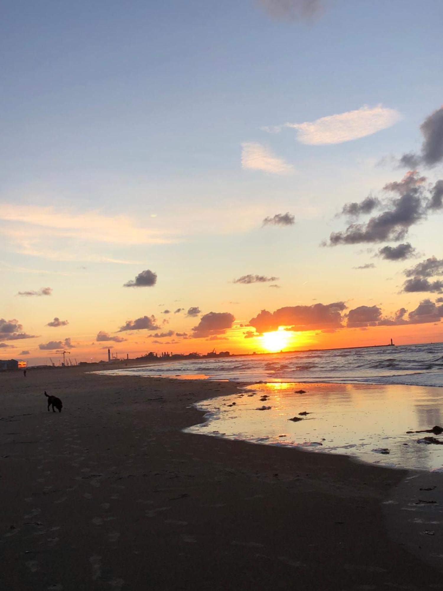 Appartement Sur La Plage De Malo Les Bains Vue Mer Dunkirk Eksteriør billede